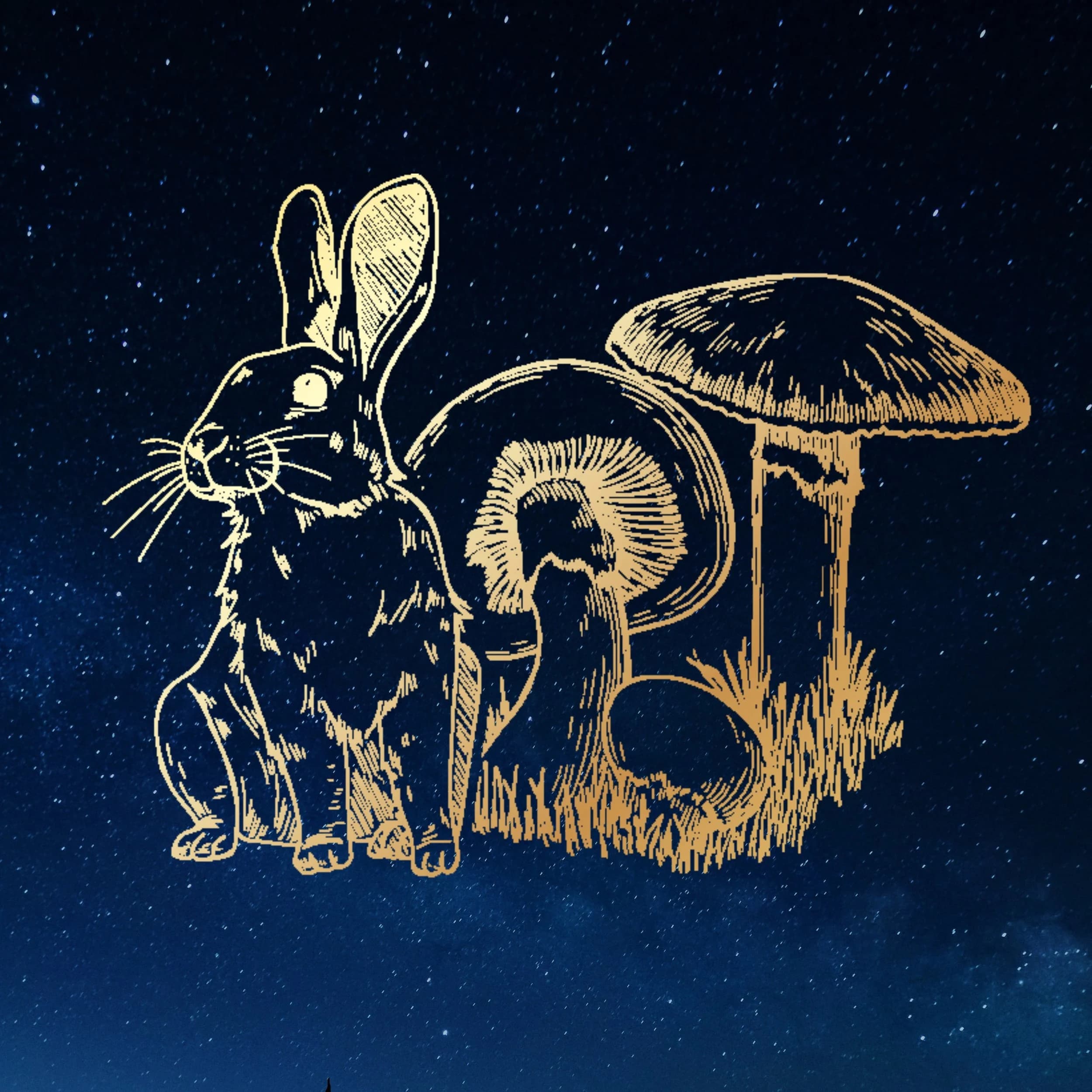 Enchanta Forest 2026 — event in Fergus, Ontario