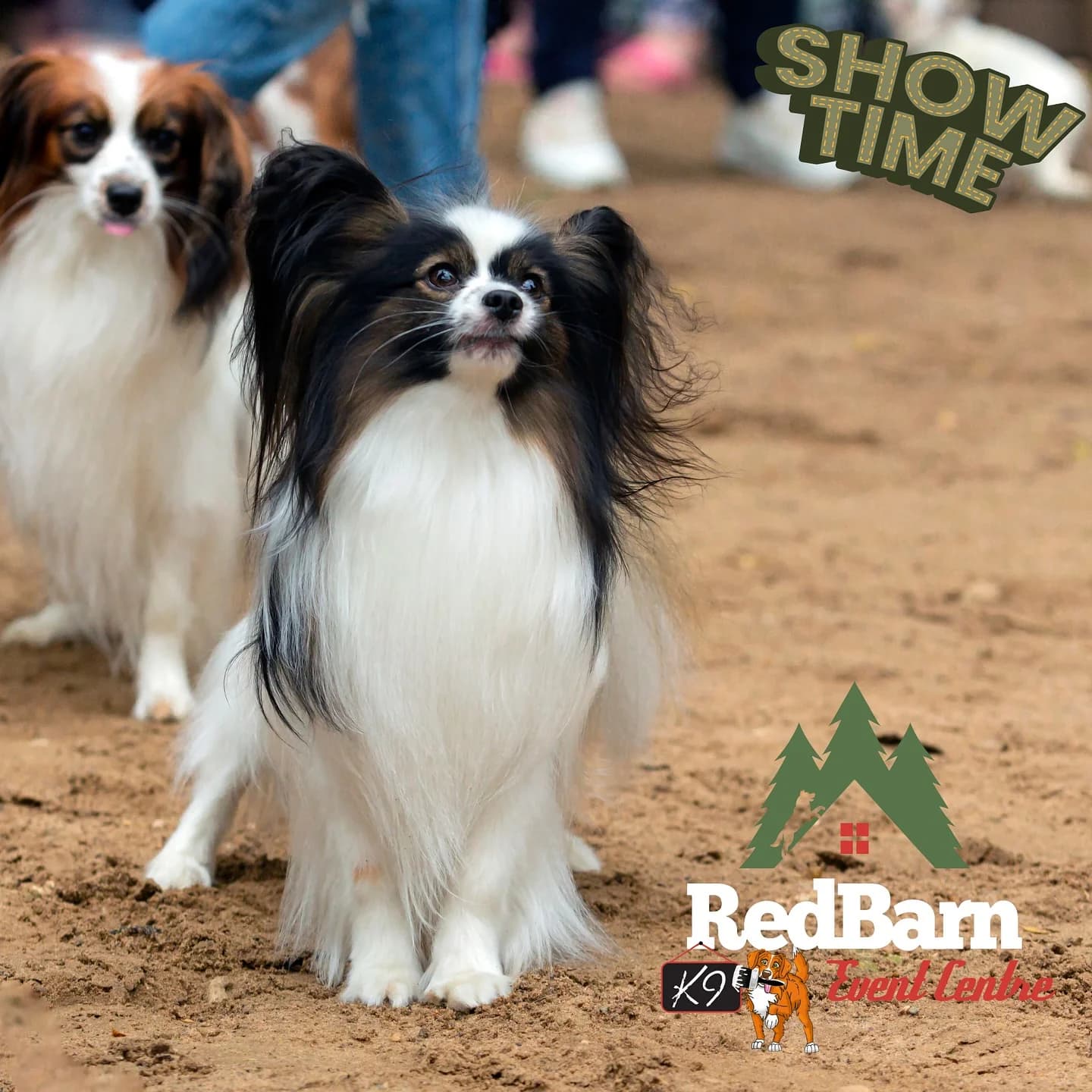 Barrie Pet Palooza Show 2026 — Specialty Expos in Barrie, Ontario